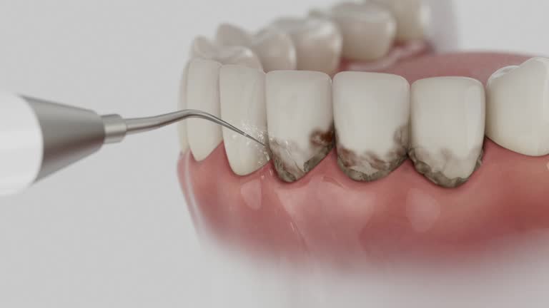 Reliable Dental contractor in Mays Chapel, MD by Dentist Open Now